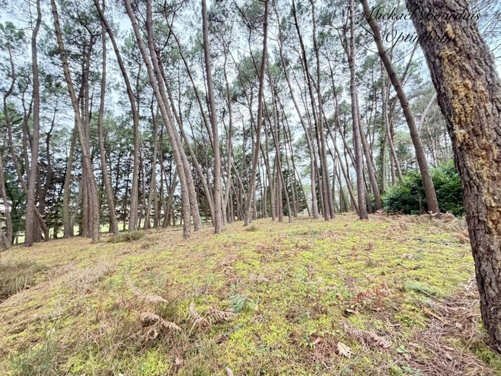 � vendre  Propri�t�/ch�teau Lini�res-Bouton (49490)