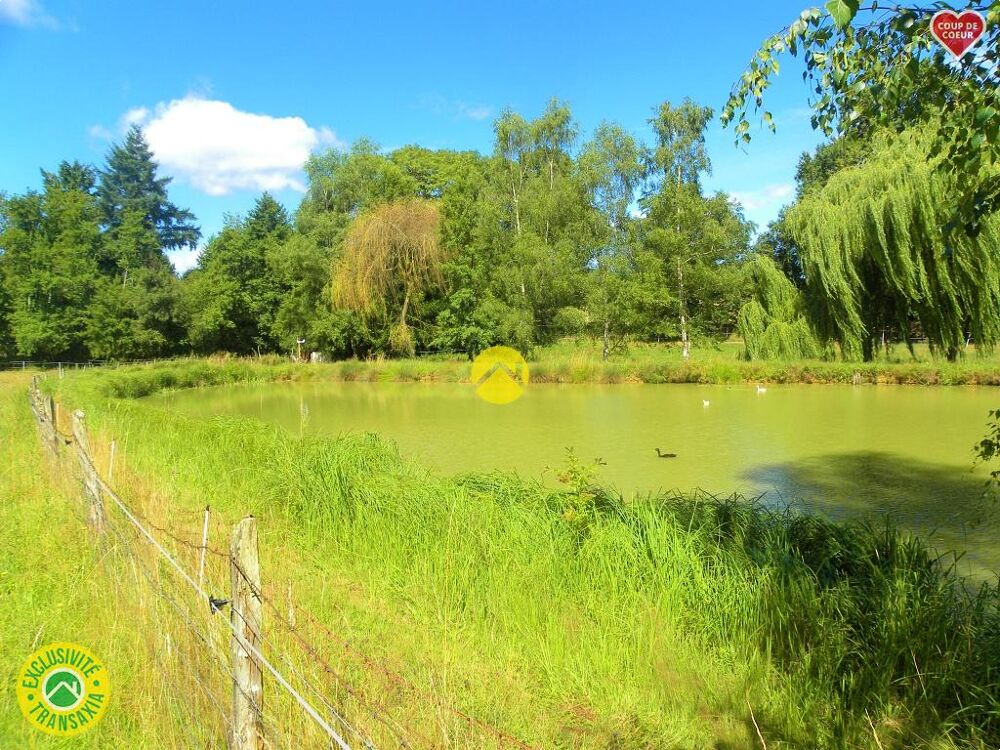 ÉTANG AU CALME
