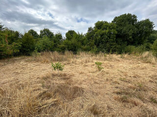  Terrain  vendre 780 m
