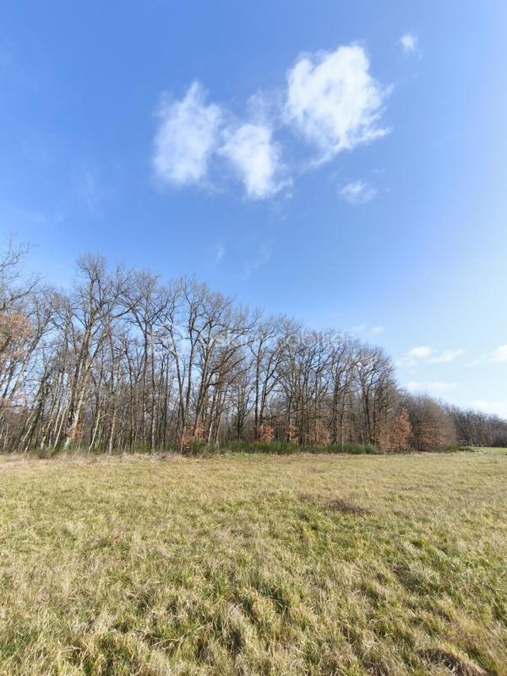Vente Terrain TERRAIN CONSTRUCTIBLE ET VIABILISE DE 825 M2 Monclar de quercy