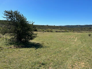  Terrain  vendre 8000 m