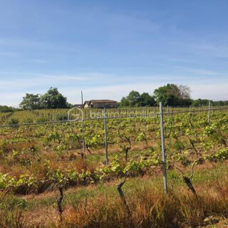  Propri�t�/ch�teau � vendre 5 pi�ces 136 m�