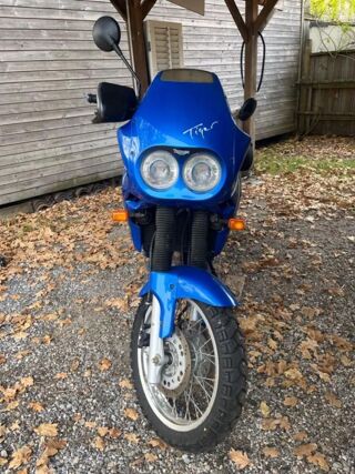 TRIUMPH 1993 occasion 33980 Audenge