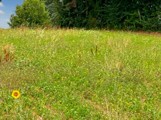  Terrain à vendre 3000 m²