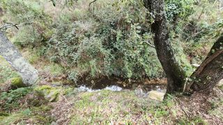  Terrain  vendre 41460 m