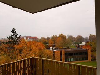  Appartement � louer 3 pi�ces 61 m�