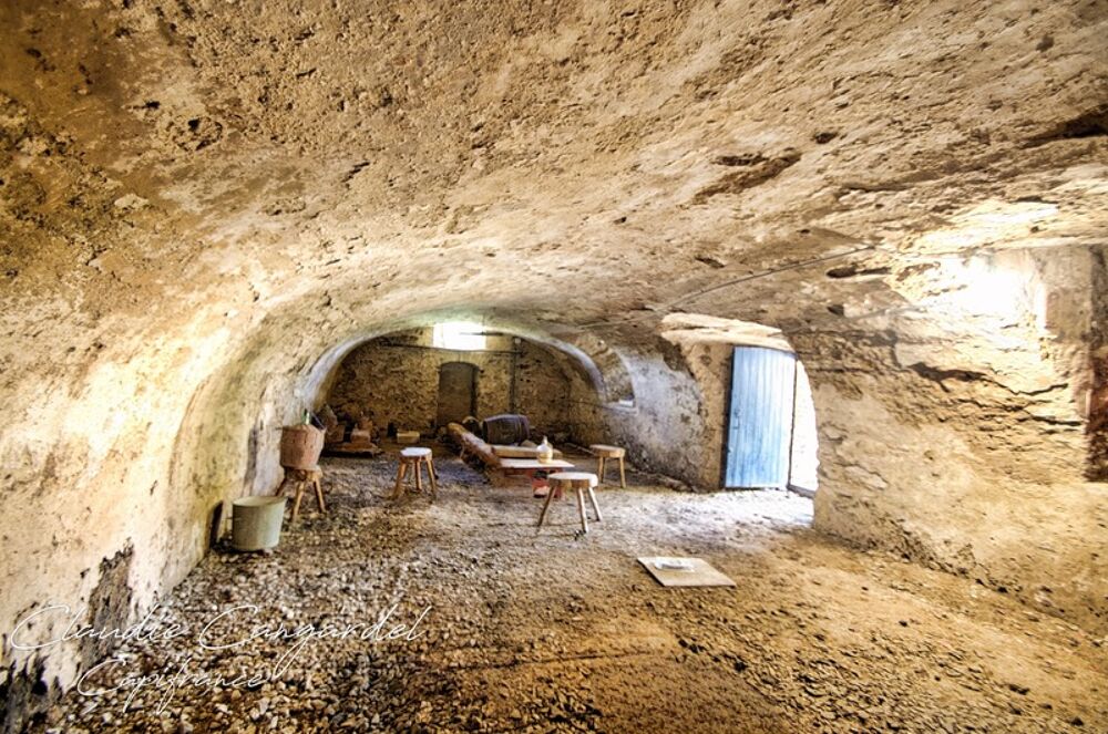 Vente Maison Propriété de charme en bord de rivière, avec activité de gîte Les HERBIERS (85) Chantonnay