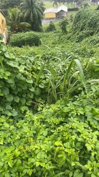  Terrain � vendre 688 m�