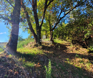  Terrain  vendre 785 m