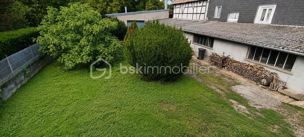 Vente Terrain Terrain de 1 500 m² partiellement constructible avec hangar de 270 m² aménageable Colmar