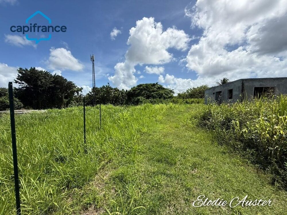 Vente Terrain Terrain à vendre  Convenance Baie mahault