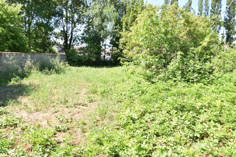 Vente Terrain Dpt Charente Maritime (17),  vendre terrain de 615 m Verines