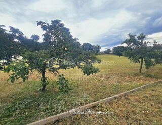  Terrain à vendre 997 m²