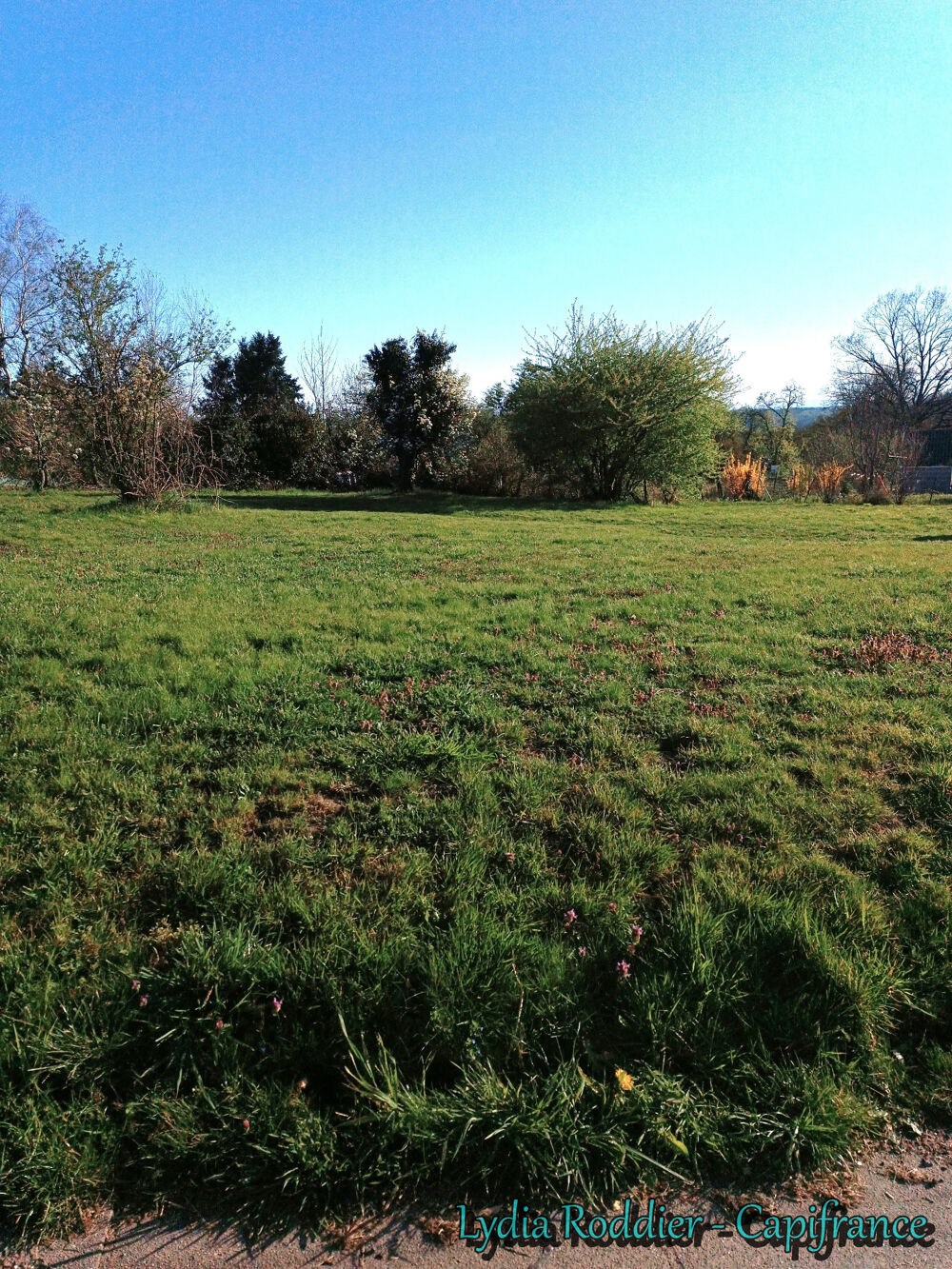 Vente Terrain Terrain 934 m2 – 5 minutes du centre ville RARE à PUY GUILLAUME (63290) Puy guillaume