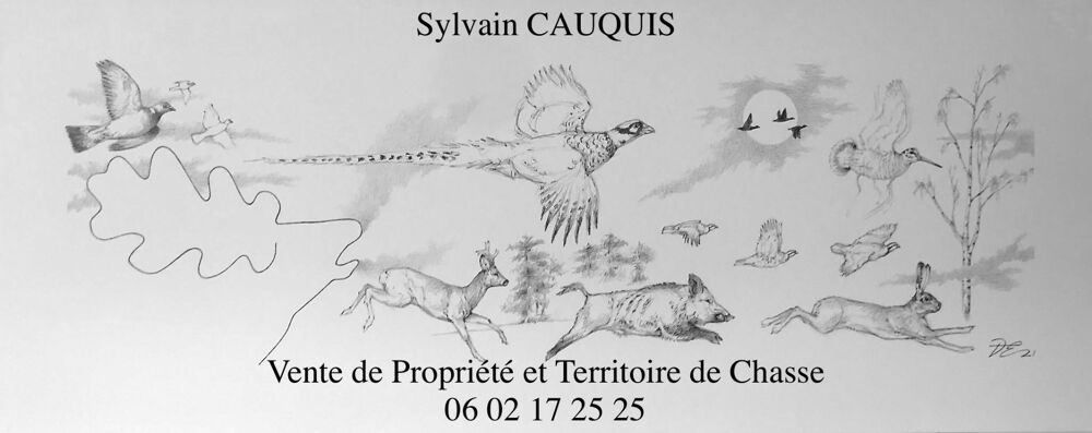Territoire de Chasse de 171 hectares en Sologne