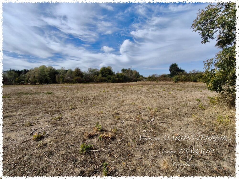 Vente Terrain ENSEMBLE FONCIER DE 8 008 M² AVEC ACCÈS DIRECT AU CHER – PREUILLY (18120) Preuilly