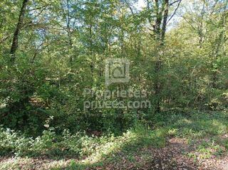  Terrain à vendre 4515 m²