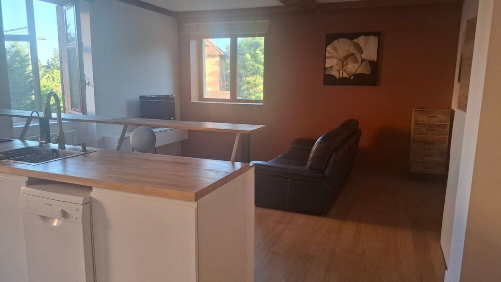 Location Appartement Appartement de 43m2 à louer sur Couzon-au-Mont-d'Or Couzon au mont d or