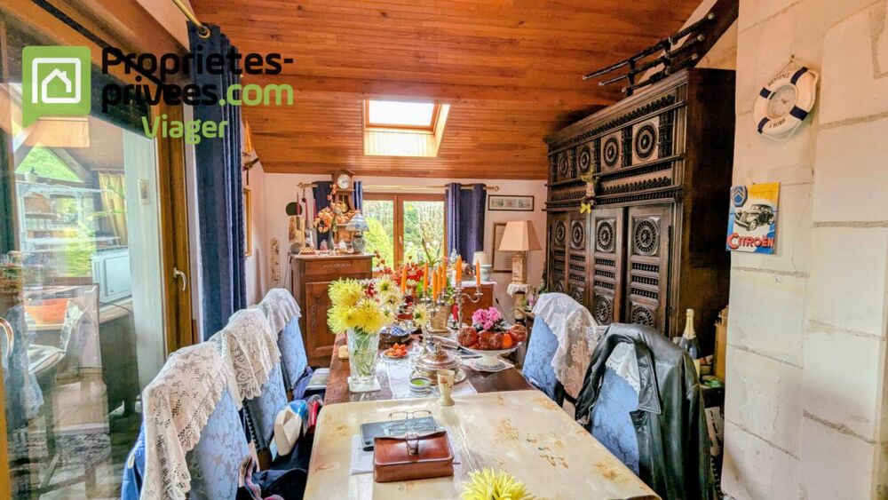 Viager occupé .Chaumont sur Loire 41