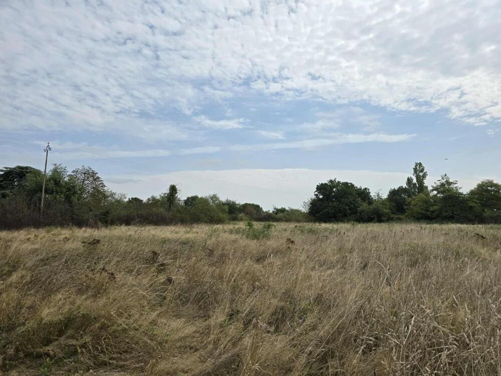 Vente Terrain Terrain Agricole à Vendre Saint elix le chateau