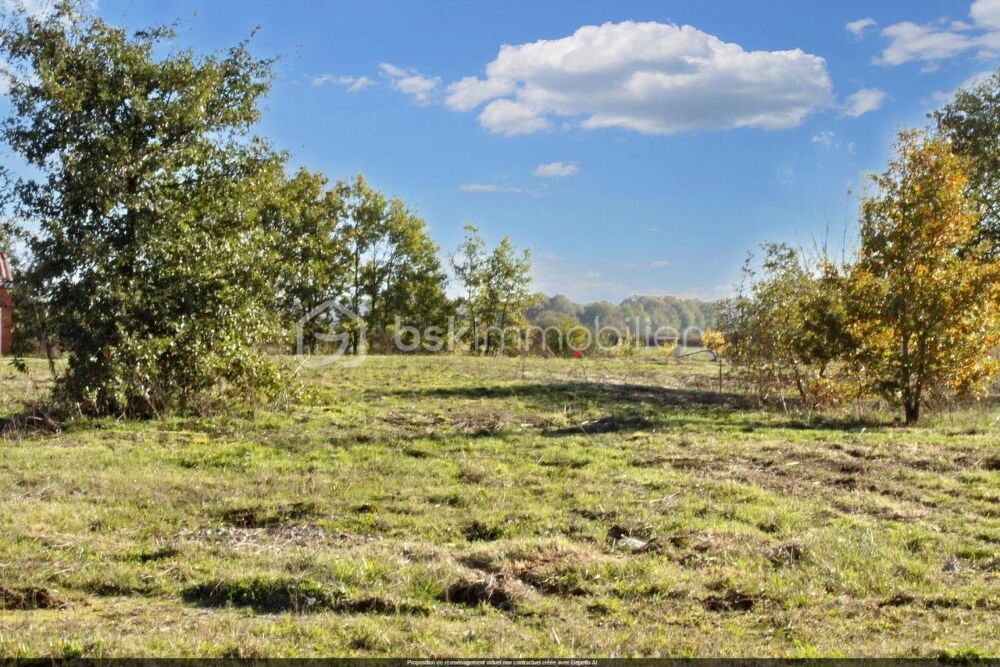 Vente Terrain terrain de 471m², viabilisé, et relié au tout à l'égout Negrepelisse
