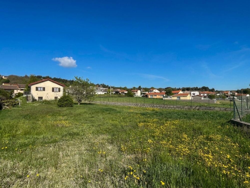 Maison Boen Sur Lignon 4 pièce(s) 96 m2