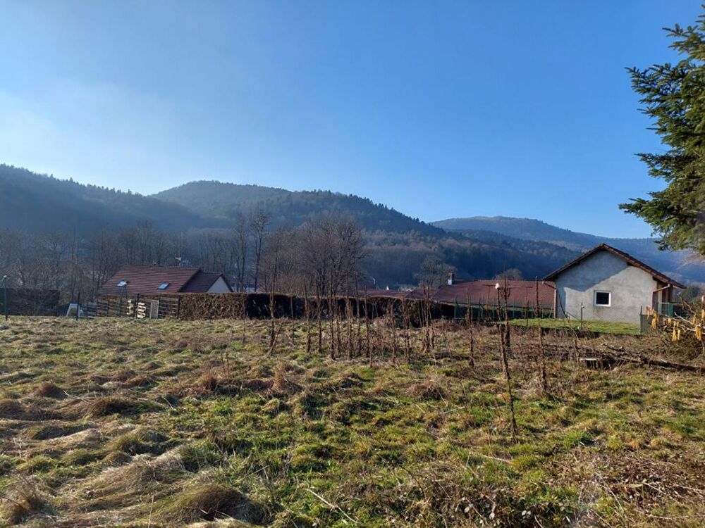 Vente Terrain TERRAIN CONSTRUCTIBLE Lepuix