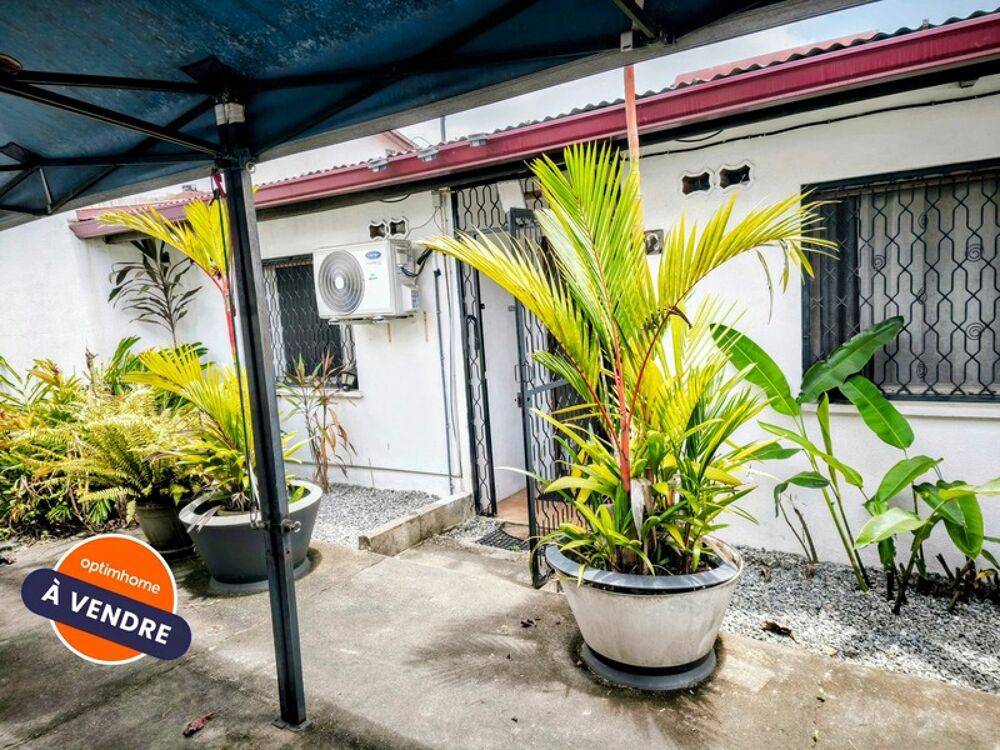 Vente Maison Lot de 2 maisons mitoyennes avec piscine et jardin – Quartier Lac Bleu, Saint-Laurent-du-Maroni Saint laurent du maroni
