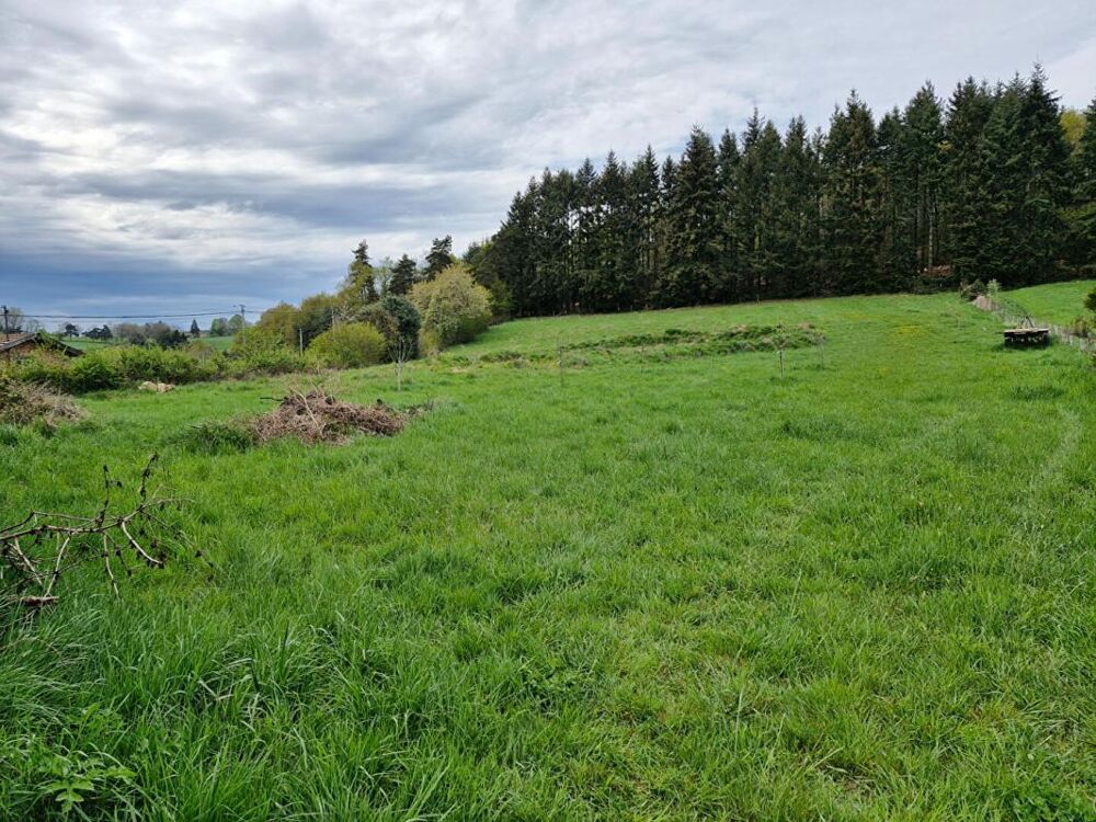 Vente Terrain CHERIER - TERRAIN CONSTRUCTIBLE Cherier