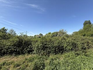  Terrain à vendre 10138 m²