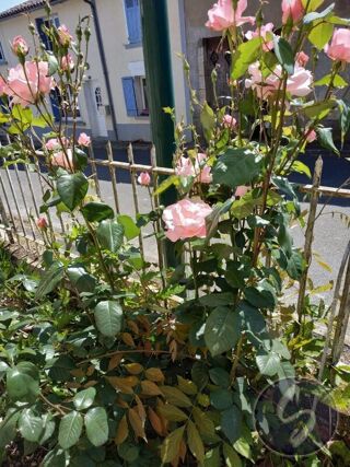  Immeuble � vendre 240 m�