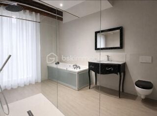  Propriété/château à vendre 11 pièces 300 m²