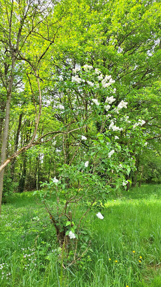  Terrain à vendre 6365 m²