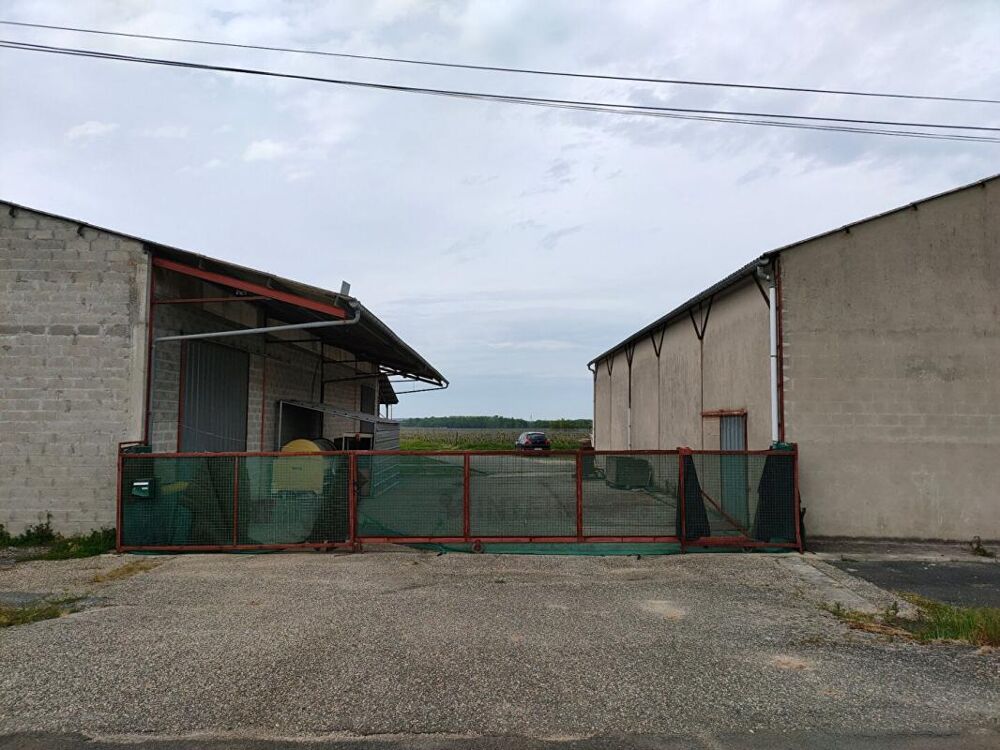 BATIMENT ARTISANAL 450 m² Vayres