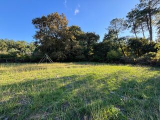  Terrain à vendre 800 m²