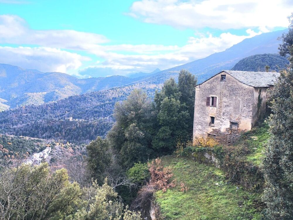 Vente Maison Maison en pierre 7 pièces, 120 m2 + caves, à rénover entièrement à PIE D'OREZZA, Campodonico (HAUTE CORSE) Pie d orezza