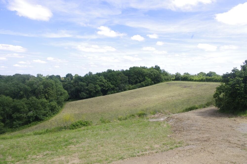 Vente Maison PEYRUSSE VIEILLE, secteur vallonné, belle propriété  de 227 m² avec vue panoramique et environnement privilégié Peyrusse vieille