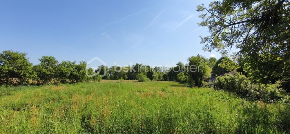 Vente Terrain RARE ET AU CALME - TERRAIN CONSTRUCTIBLE DE 3245 M2 A ALBIAS Albias
