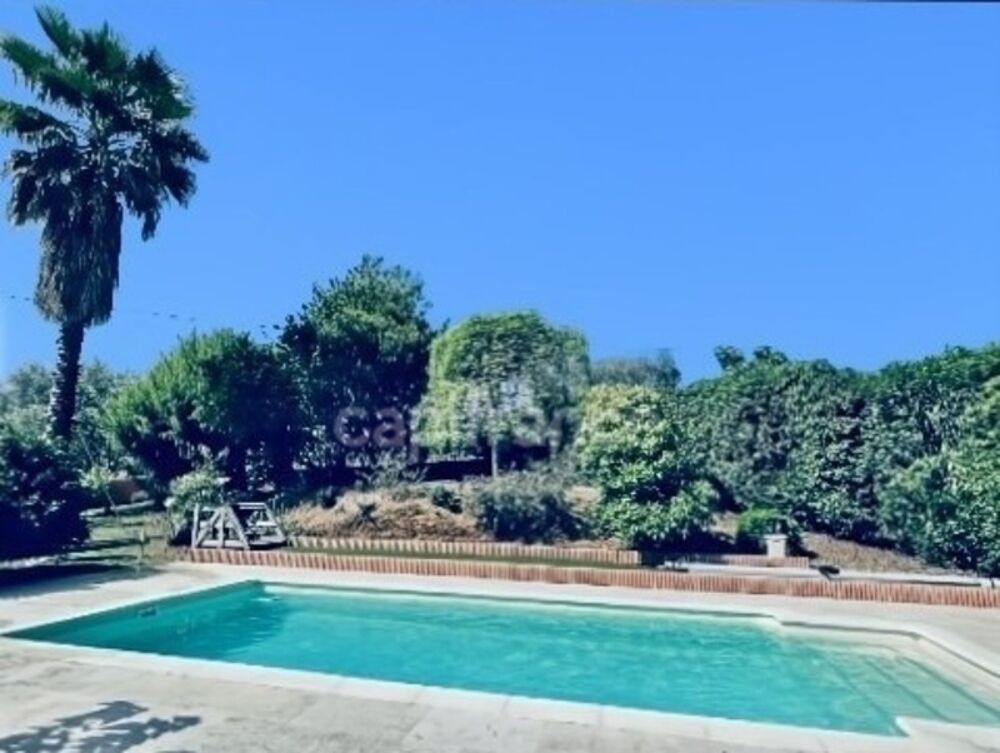  vendre  Maison Afa (20167)