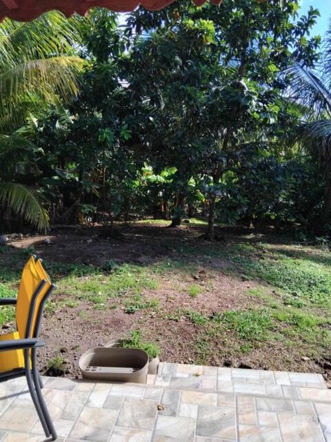  Appartement � louer 2 pi�ces 87 m�