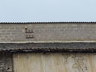  Parking / Garage � vendre 345 m�