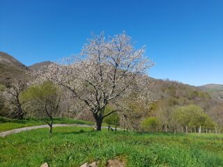  Propri�t�/ch�teau � vendre 8 pi�ces 220 m�