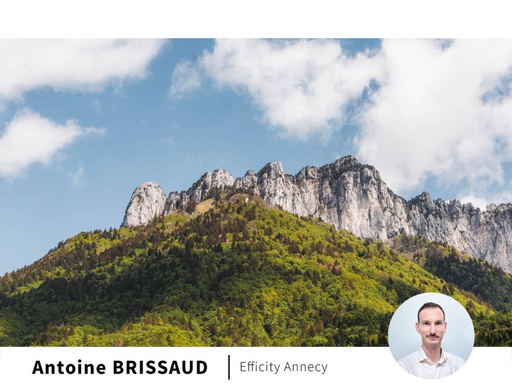 à vendre  Appartement Bluffy (74290)