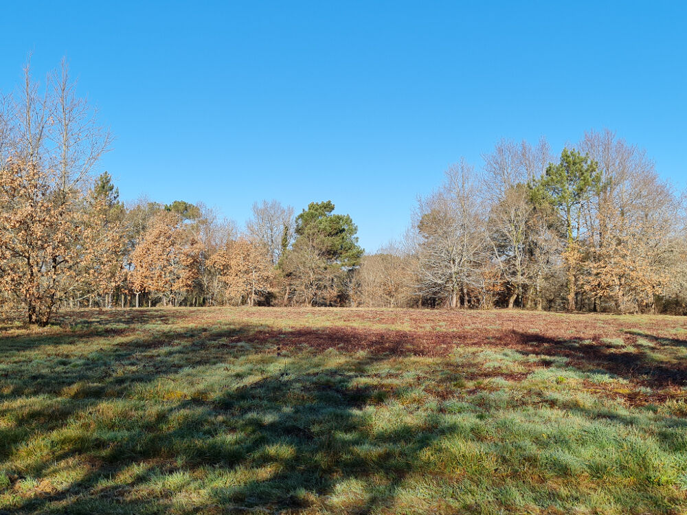 Vente Terrain 24400 entre Mussidan et Montpon  Terrain  de 11408 m² dont  constructible 4000m ² Mussidan