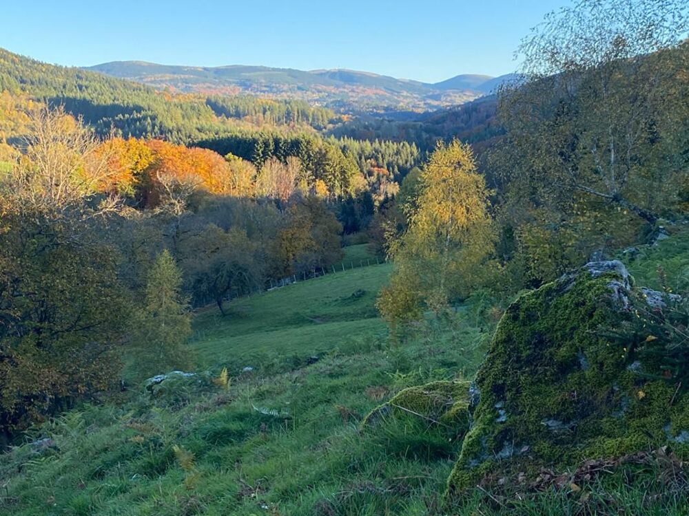 � vendre  Maison Courpi�re (63120)