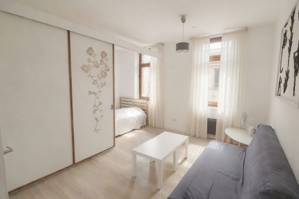 Location Appartement Appartement de 29m2 à louer sur Toulouse Toulouse