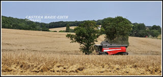  Propri�t�/ch�teau � vendre 1 pi�ce 860 m�