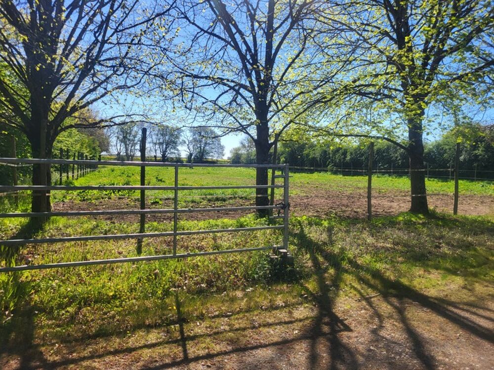 Vente Propriété/Château Propriete à vendre 10 pièces AUBIGNY (79) Terrain 27 715 m² Aubigny