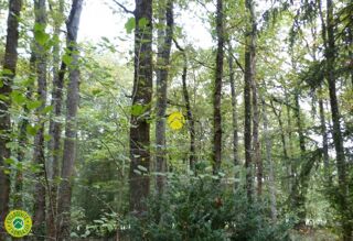  Terrain � vendre 3783 m�