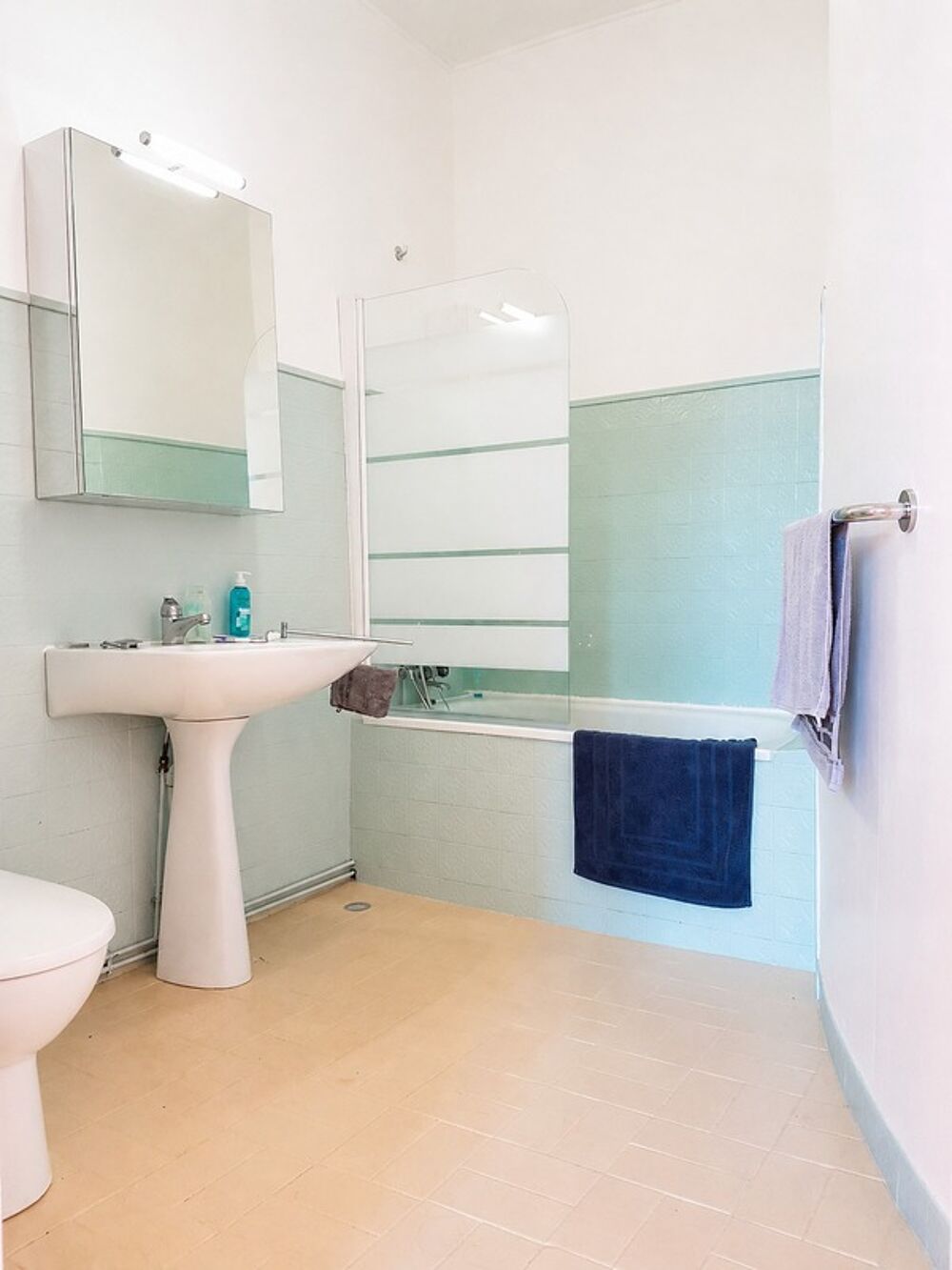 � vendre  Propri�t�/ch�teau Saint-Lon-les-Mines (40300)